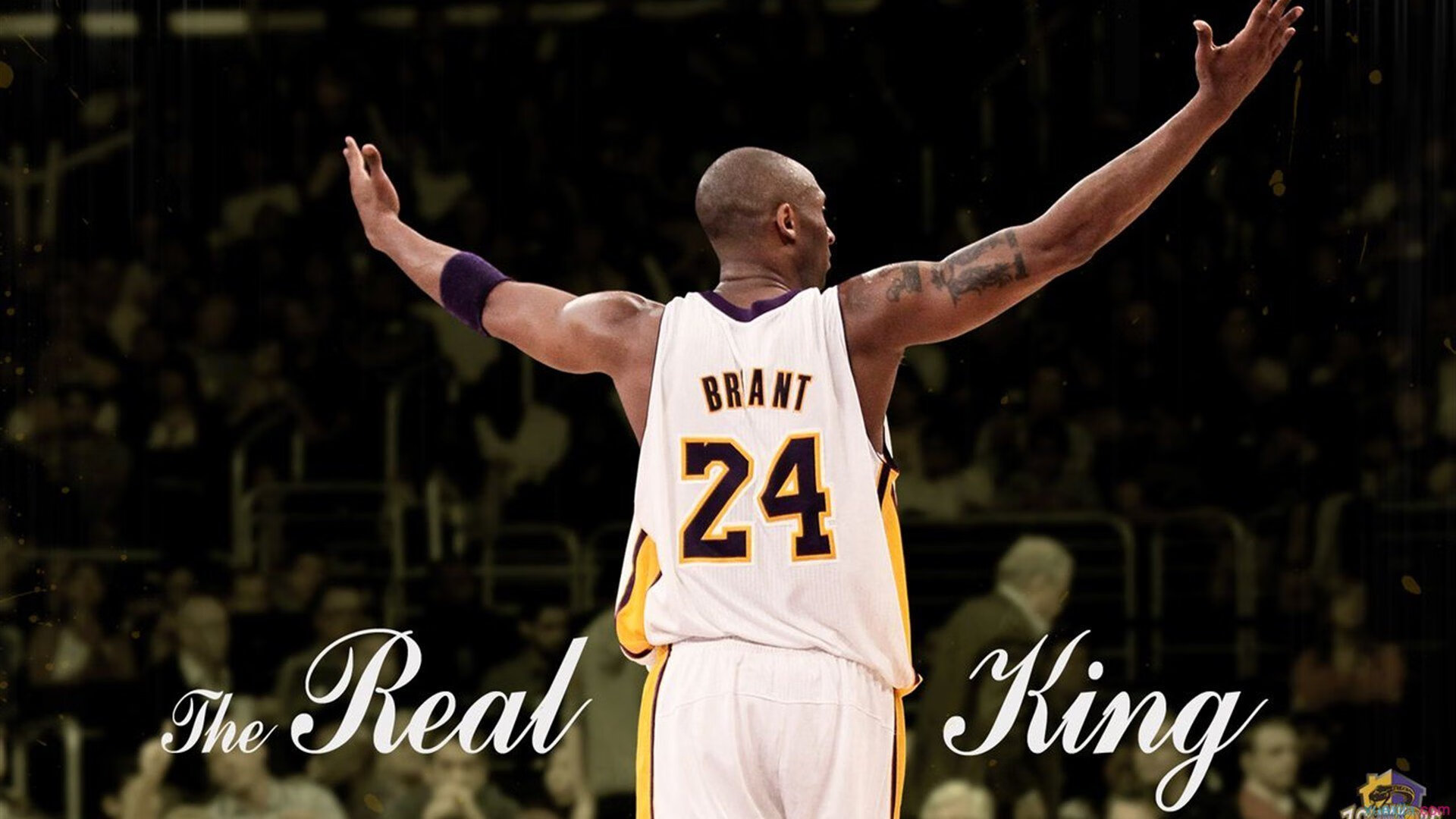 华体会全站-20岁4号秀创神迹，轰破NBA三分球历史最快纪录，库里没做到，nba 三分纪录